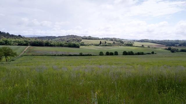 Blick zurück von wo wir gekommen sind