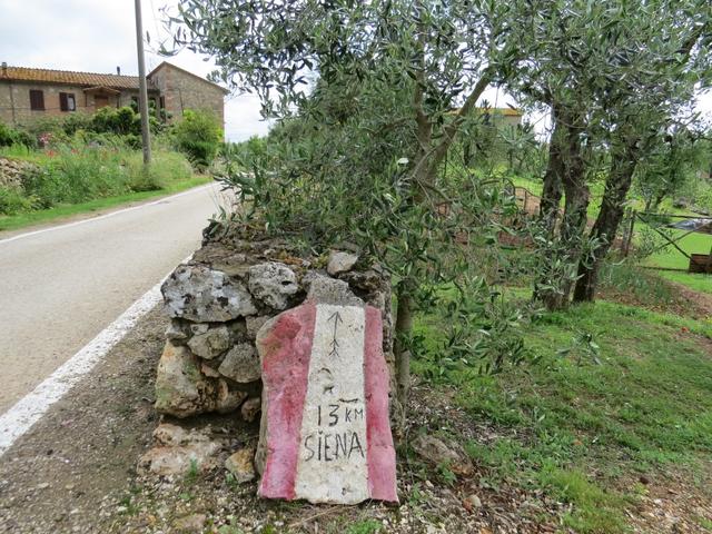 noch 13 km bis Siena