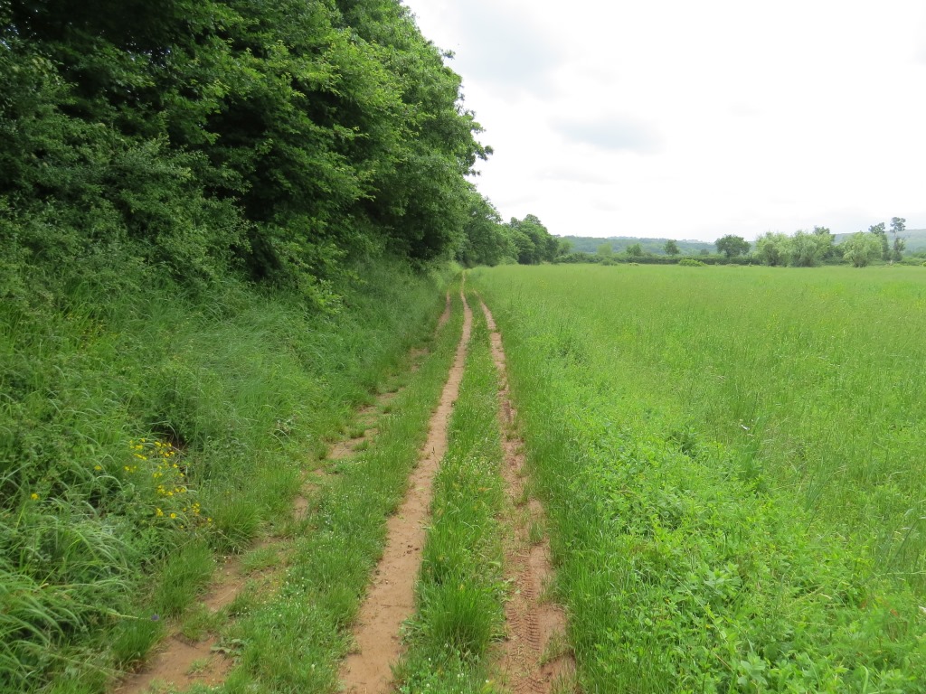 abwechslungsreich führt die Via Francigena uns Richtung Siena