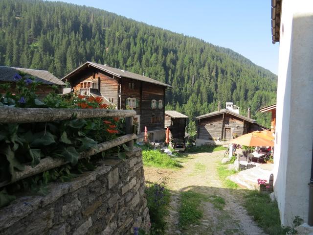 dicht gedrängt stehen die alten Walliser Holzhäuser am Wiesenhang