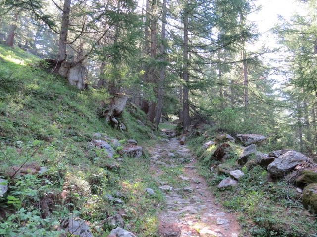 bei Heiwmeder 1672 m.ü.M. überqueren wir wieder die Strasse und durchqueren ein Lärchenwald