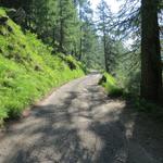 wir stossen wieder auf die Strasse und wandern auf der Strasse bleibend weiter taleinwärts