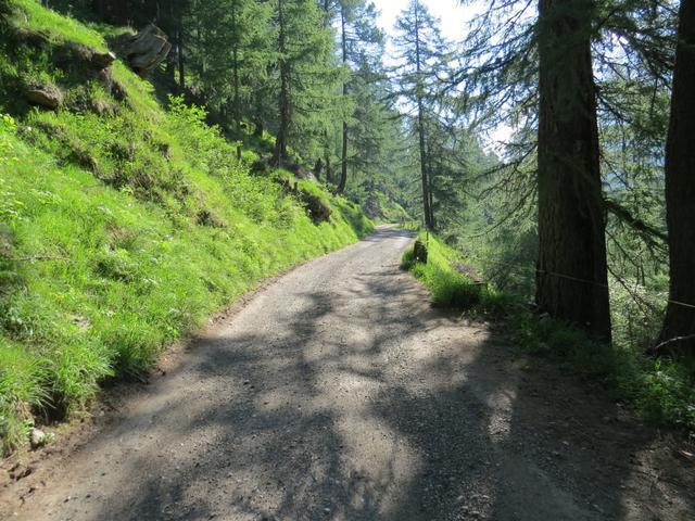 wir stossen wieder auf die Strasse und wandern auf der Strasse bleibend weiter taleinwärts