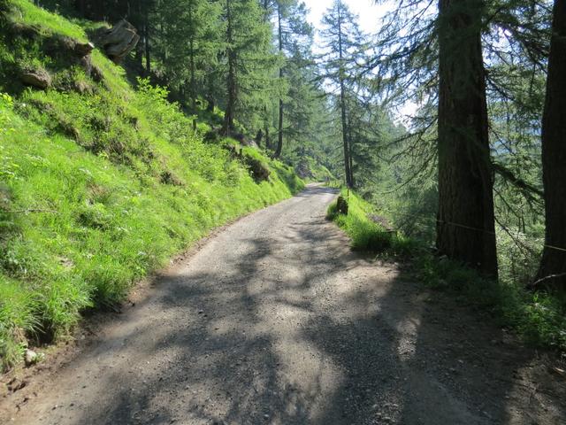 wir stossen wieder auf die Strasse und wandern auf der Strasse bleibend weiter taleinwärts