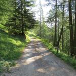 wir bleiben nun auf der Alpstrasse. Bei Punkt 1798 m.ü.M. verlässt der Wanderweg die Alpstrasse...