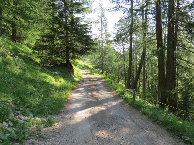 wir bleiben nun auf der Alpstrasse. Bei Punkt 1798 m.ü.M. verlässt der Wanderweg die Alpstrasse...