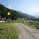 ...und führt uns rechts an der Alp Tschampigläger vorbei bis nach Brunnebiel 1844 m.ü.M.