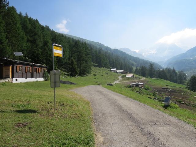 ...und führt uns rechts an der Alp Tschampigläger vorbei bis nach Brunnebiel 1844 m.ü.M.