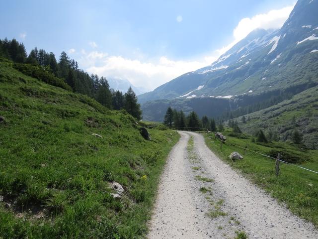 wir folgen unserem Weg über Alpweiden und zwei Bäche nach Freichi 1883 m.ü.M.