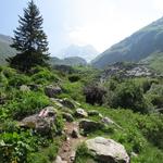 über eine Brücke überqueren wir das Turbenwasser und wandern weiter geradeaus