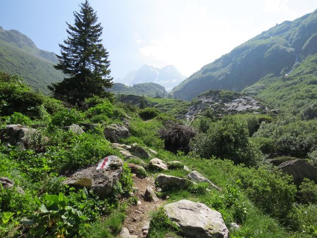 über eine Brücke überqueren wir das Turbenwasser und wandern weiter geradeaus