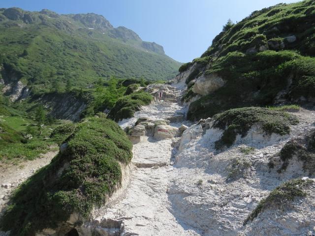 hier tritt eine auffallende Zone von Zuckerdolomit zutage