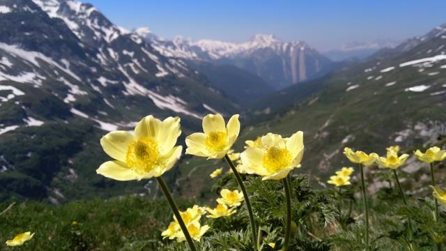 einfach traumhaft die Aussicht von hier oben. Wir sind froh diese Zusatzschlaufe eingelegt zu haben