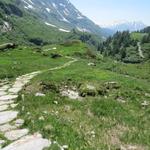 wieder wandern wir über den mit  Steinplatten angelegten Wanderweg durch die Moorlandschaft von nationaler Bedeutung