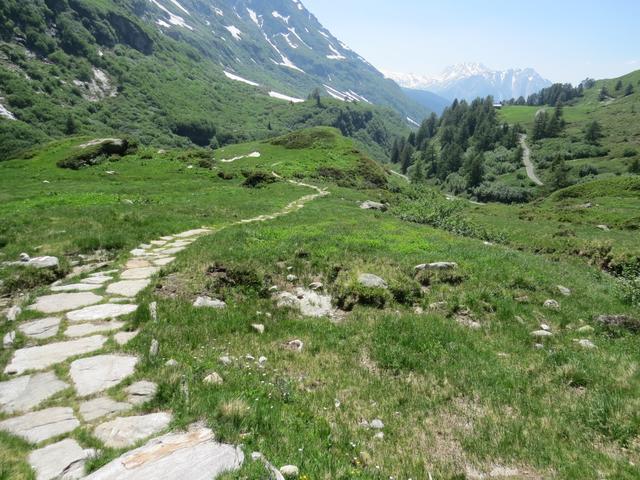 wieder wandern wir über den mit  Steinplatten angelegten Wanderweg durch die Moorlandschaft von nationaler Bedeutung