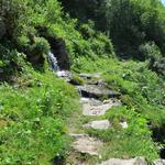 linkshaltend nehmen wir den Wanderweg unter die Füsse der sich zum malerischen Halsesee hinaufzieht