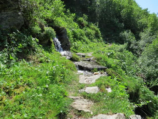 linkshaltend nehmen wir den Wanderweg unter die Füsse der sich zum malerischen Halsesee hinaufzieht