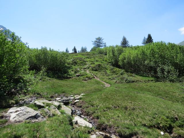 der Wanderweg schlängelt sich durch eine sehr schöne Landschaft