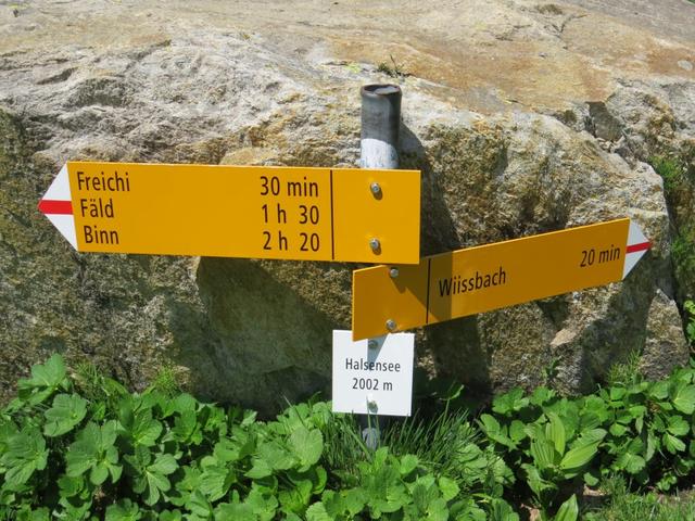 Wegweiser beim Halsesee 2003 m.ü.M.