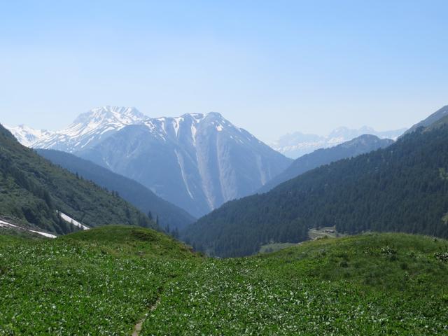 was für eine schöne Aussicht in die Walliserberge...