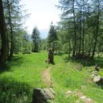 auf der Südseite des Flusses weist uns der Bergweg weiter talauswärts...