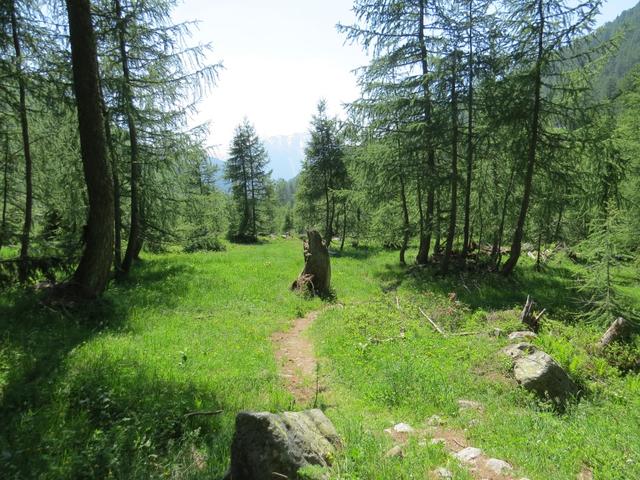 auf der Südseite des Flusses weist uns der Bergweg weiter talauswärts...