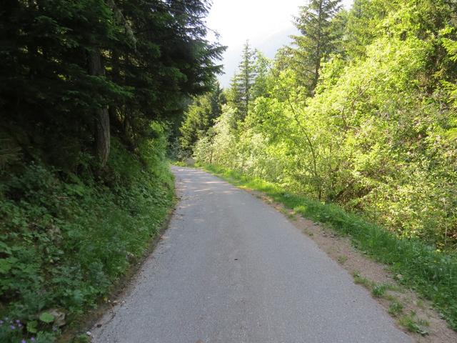 auf der Strasse talauswärts laufend...