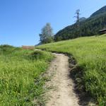 wir lassen Randa hinter uns, wandern über Wiesen geradeaus weiter...