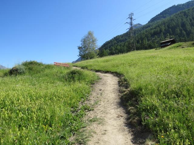 wir lassen Randa hinter uns, wandern über Wiesen geradeaus weiter...