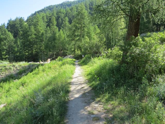 ...und erreichen kurz danach bei Jungholz 1536 m.ü.M. der grosse Graben des Dorfbächji