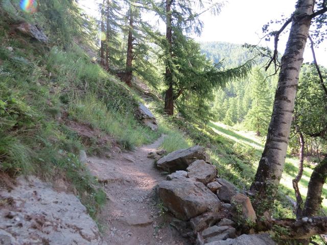 direkt nach der Brücke biegt unser Wanderweg rechts ab