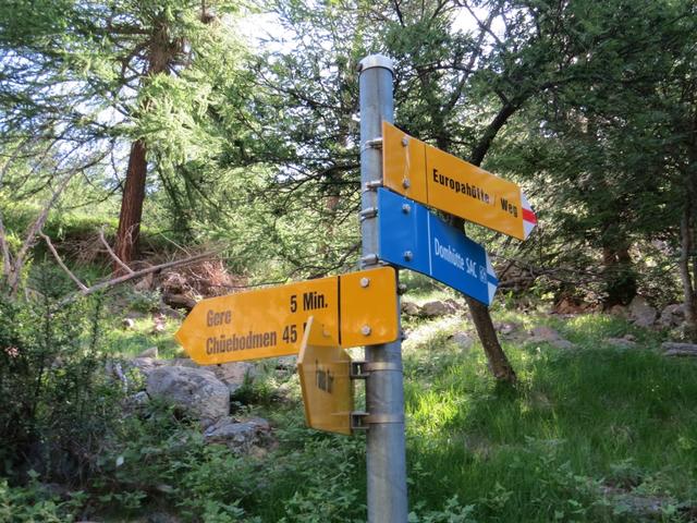 wir behalten unsere Richtung Hängebrücke/Domhütte...