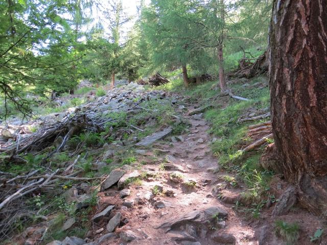 ...biegen rechts ab, und wandern zwischendurch auch recht steil weiter aufwärts