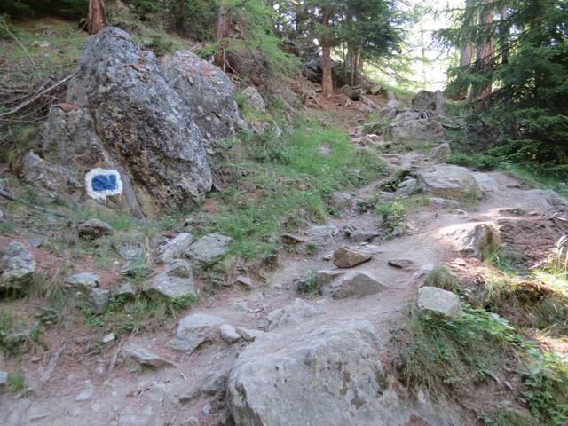 weiss-blau-weisser Wanderweg? leicht übertrieben