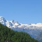 die Sicht wird immer grandioser Breithorn, Klein Matterhorn und Theodulgletscher