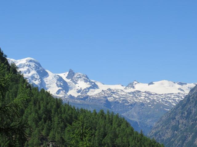 die Sicht wird immer grandioser Breithorn, Klein Matterhorn und Theodulgletscher