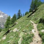 über einen Zick-zack Weg wandern wir vorbei an Punkt 2164 m.ü.M. aufwärts