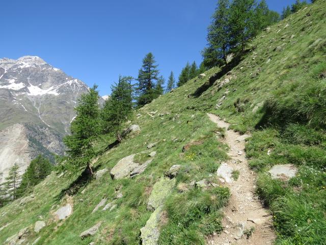 über einen Zick-zack Weg wandern wir vorbei an Punkt 2164 m.ü.M. aufwärts