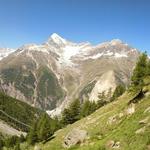 was für eine Aussicht Mettelhorn, Zinalrothorn, Weisshorn, Brunegghorn und Hängebrücke