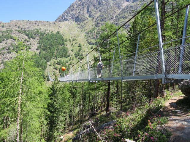 auf der anderen Seite blicken wir zum lezten mal zur sehr schön erbauten Hängebrücke zurück