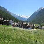 eine sehr schöne Wanderung - die letzte im Wallis- geht zu Ende