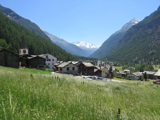 eine sehr schöne Wanderung - die letzte im Wallis- geht zu Ende