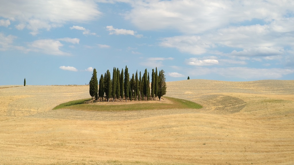 direkt neben San Quirico d'Orcia besuchen wir eines der bekannteste Sujet der Toscana, die Zypressen von San Quirico d'Orcia