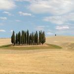 direkt neben San Quirico d'Orcia besuchen wir eines der bekannteste Sujet der Toscana, die Zypressen von San Quirico d'Orcia