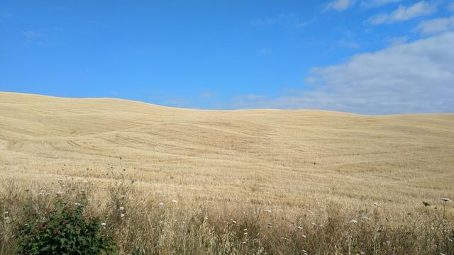 weiter geht unsere Reise durch diese traumhafte Gegend