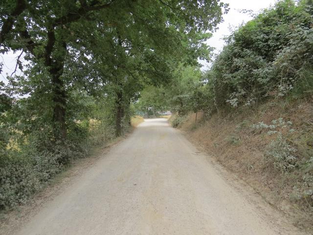 die Via Francigena legt nun immer mal wieder einen Abschnitt auf der alten Handelsstrasse...