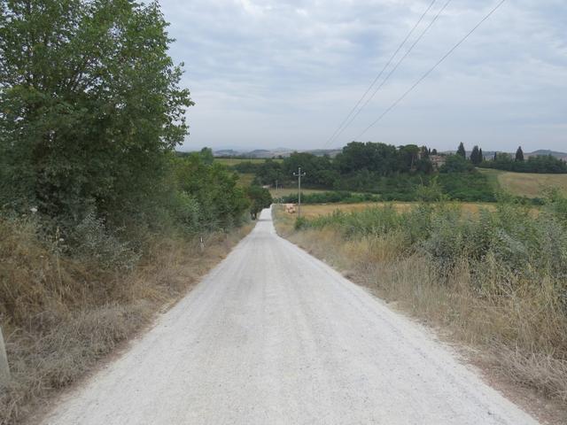 ...der Via Cassia zurück. Die Via Cassia wurde von den Römer von Roma aus, in Richtung Toskana angelegt