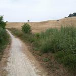 bei bestem Wanderwetter, wandern wir durch die toskanische Landschaft