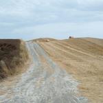 mit leichtem Auf und Ab legen wir Kilometer um Kilometer zurück