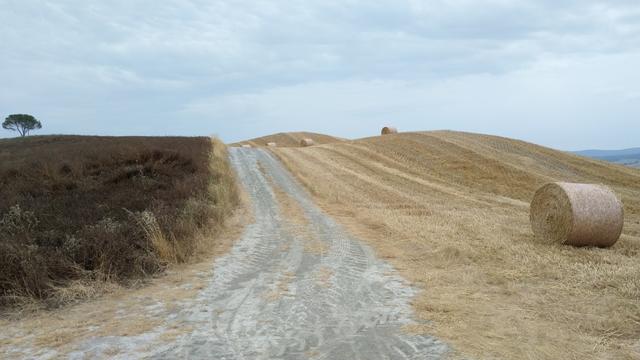 mit leichtem Auf und Ab legen wir Kilometer um Kilometer zurück